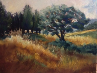 Out in the Meadows 10" x 13.5"
$460 framed, $405 unframed